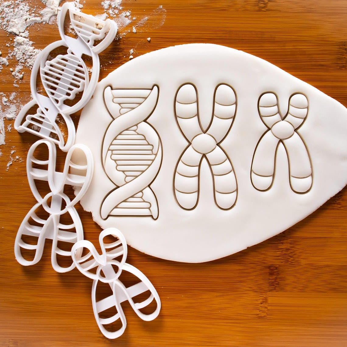 DNA Cookie Cutter Cookie for Genetics Microbiology Cell Cycle Laboratory Science Baking Tool Chromosome Biology Molecular Deoxyribonucleic Acid Educational Cookies India (ONLY DNA) - Image 3