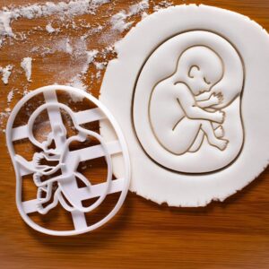 20 Week Fetal Development Cookie Cutter Cookie for Pregnancy Announcement Ultrasound Baby Shower Medical Obstetrics Gynecology Midwife Birth Celebration Baking Tool India (ONLY 20 Week)