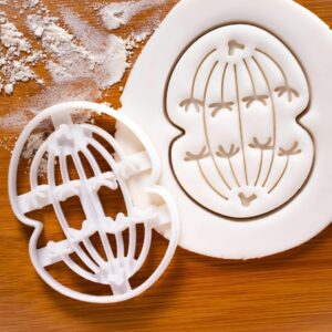 Meiosis I Anaphase I Cookie Cutter India for Cell Cycle Science Cookies and Biscuits, Microbiology Educational Tool for Chromosome Separation Biology Teacher and Student Baking (ONLY ANAPHASE)