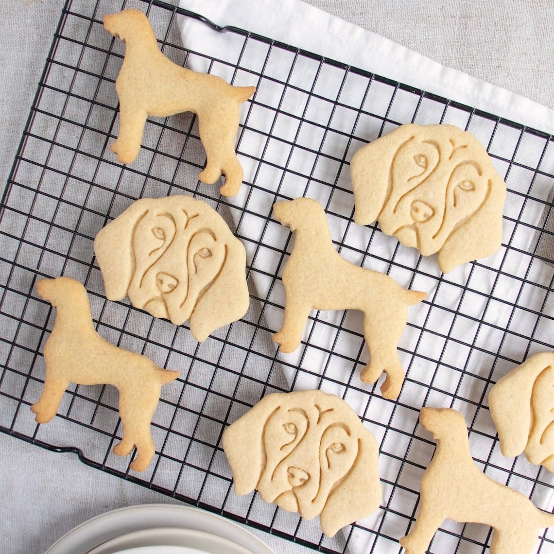 German Shorthaired Pointer body cookie cutter for biscuit fondant clay baking shaped like GSP standing dog ideal pet lovers dog trainers kennel event vet clinic gifts animal themed (ONLY BODY) - Image 4
