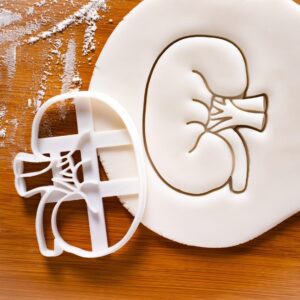 Internal Kidney Cookie Cookie Cutter Design 2 Anatomical Biscuit Cutter Medical Students Human Body Organ Renal System Educational Anatomy Tool Gifts Healthcare and Science (ONLY Design 2)
