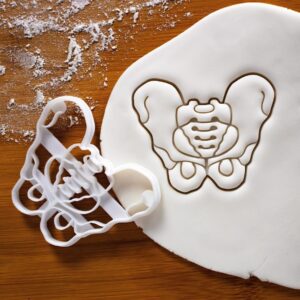 Male Pelvis Cookie Cutter and Female Pelvis Biscuit Cutter Set for Baking Educational Gifts for Medical Students Human Body Anatomy Tools Pelvic Bone Skeleton Study Aid and Science (ONLY MALE)