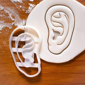 Anatomical Human Inner Ear Cookie Cutter Featuring Cochlea Outer Ear Auricle Pinnae Biscuit Cutter Ideal Medical Students, Anatomy Enthusiasts, Educational Baking Unique One (ONLY INNER EAR)