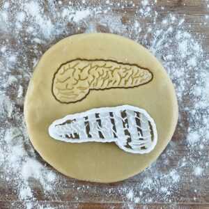 Black Pancreas Cookie Cutter Human Body Biscuit Cutter Medical Cookie Stamp Digestive System Diabetes Insulin Gift for Medical Student Science Enthusiast Fondant Pastry Tool