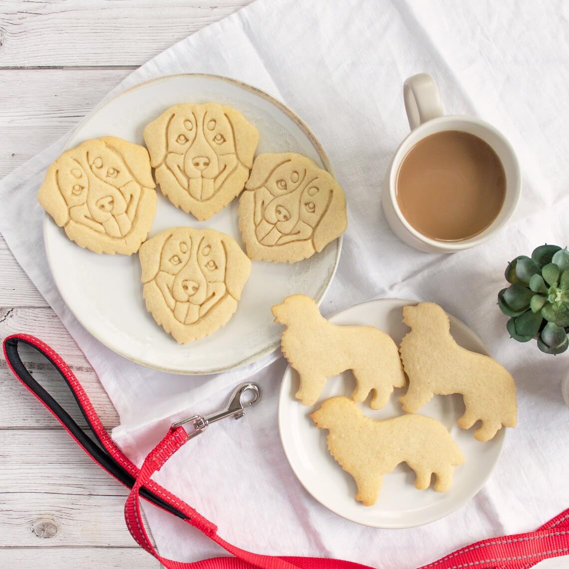 Bernese Mountain Dog Face Cookie Cutter | Bake Adorable Sennenhund Treats for Doggy Parties and Pet Celebrations | Ideal for Dog Lovers and Pet-Themed Events(ONLY FACE) - Image 5