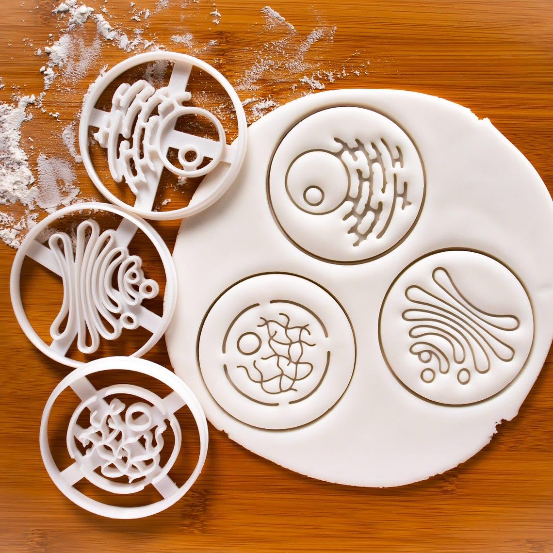 Golgi Apparatus Cookie Cookie Cutter Design 2 Human Cell Organelle Science Themed Party Baking Biscuit Dough Cutter Educational Biology Classroom Tools STEM Activities Student (ONLY DESIGN 2) - Image 2