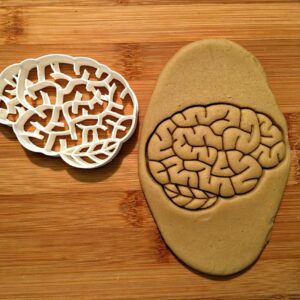 Cookie Brain Cookie Cutter Multi Size for Science, Halloween, and Educational Baking Made in India Durable Reusable Cookie for Cookies, Sandwiches, Fondant, and More