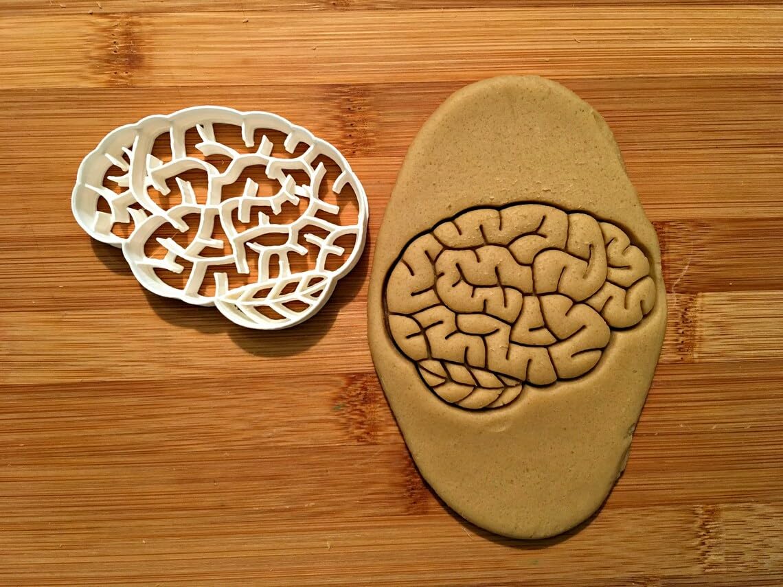 Cookie Brain Cookie Cutter Multi Size for Science, Halloween, and Educational Baking Made in India Durable Reusable Cookie for Cookies, Sandwiches, Fondant, and More