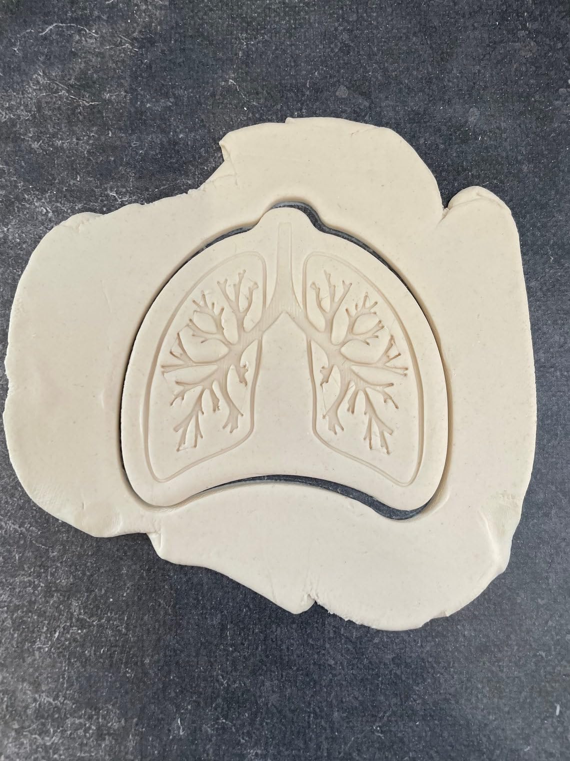 Lung Shape Cookie Cutter for Making Homemade Shortbread Cookies Pastry Sugar Paste Fondant Cake Decorations Ideal for Medical Themed Events Educational Gifts Healthcare Appreciation - Image 4