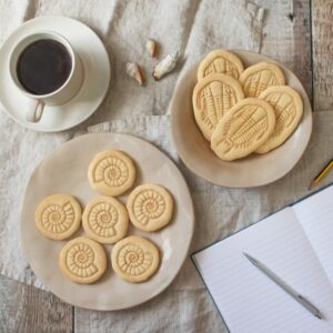 Ammonite and Trilobite Cookie Cutter