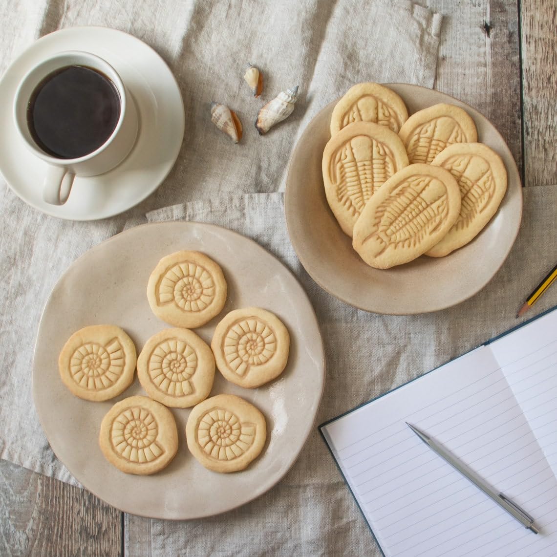 Ammonite Cookie Cookie Cutter for Biscuits Extinct Marine Fossil Shape Jurassic Era Nautiloid Fossilized Shell Design Perfect Science Lovers Paleontology Baking Educational (ONLY Ammonite) - Image 5