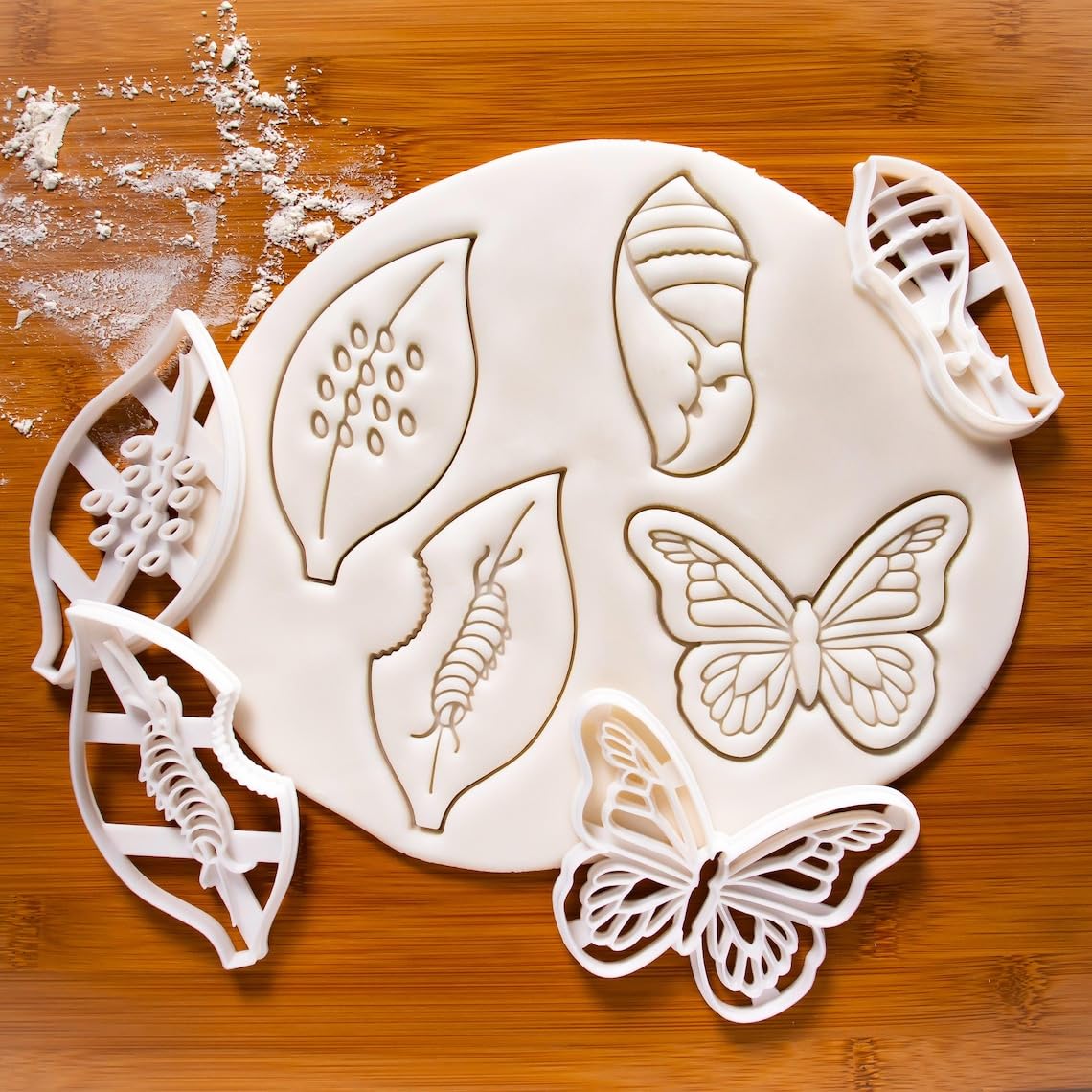 Caterpillar Cookie Cutter Bake Biscuit Mold Life Cycle Science Larvae Pupa Hatch Eggs Chrysalis Educational Birthday Party Themed Baking and Craft Tool Kids Teachers (ONLY CATERPILLAR) - Image 3