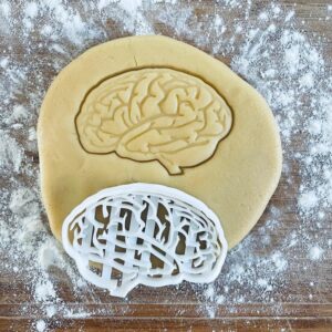 Black Anatomical Brain Cookie Cutter Medical Biscuit Cutter Cookie Stamp Gift for Future Doctor Nurse Science Student Fondant Clay Pastry Dough Anatomy Baking Tool