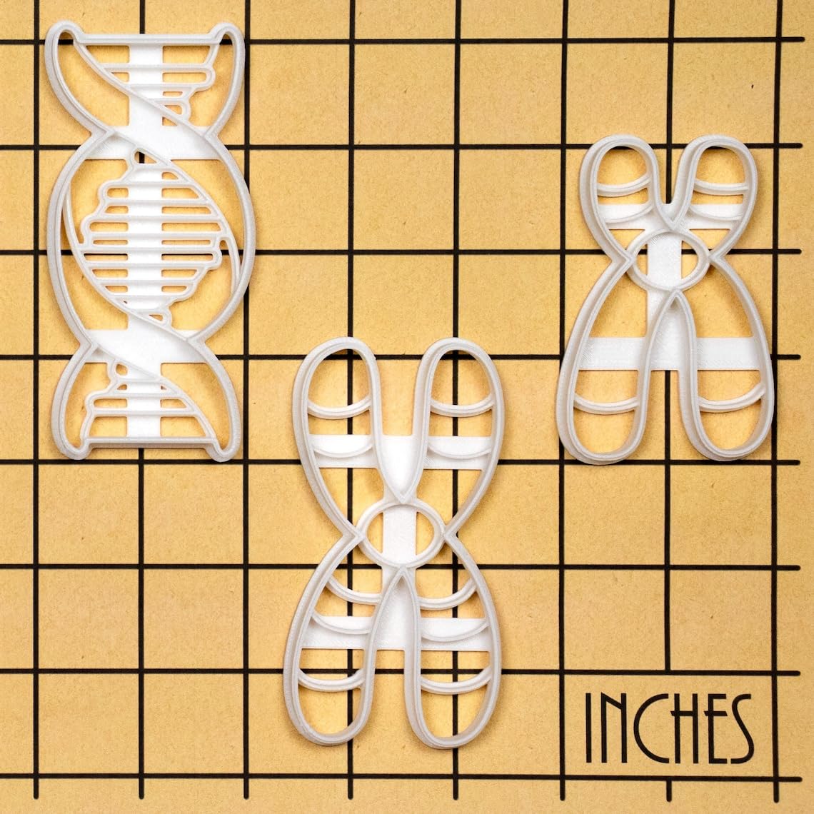Chromosome Y Cookie Cutter for Genetics Cell Cycle Molecular Biology Microbiology Laboratory Science Baking Tool for Teachers Students DNA Chromatin Learning Cookies India (ONLY CHROMOSOME Y) - Image 6