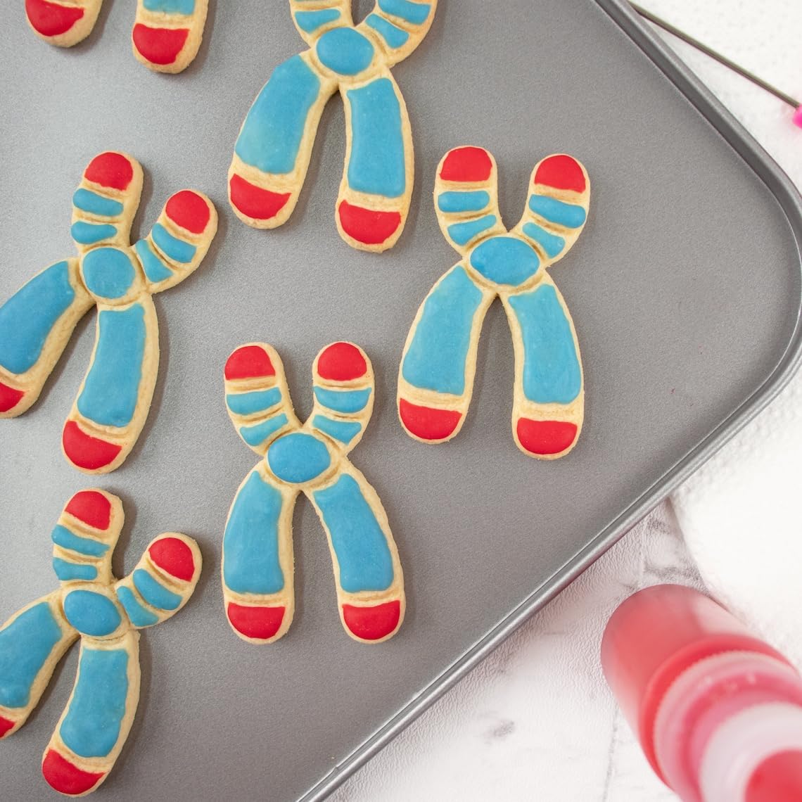 Chromosome Y Cookie Cutter for Genetics Cell Cycle Molecular Biology Microbiology Laboratory Science Baking Tool for Teachers Students DNA Chromatin Learning Cookies India (ONLY CHROMOSOME Y) - Image 2