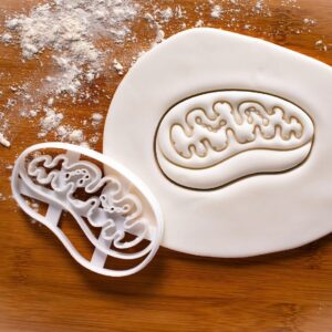 Mitochondria Cookie Cutter Biology Biscuit Mold Cell Organelle Science Baking Educational Tools Photosynthesis Plant and Animal Cell Lab Microbiology Class Treats Students (ONLY MITOCHONDRIA)
