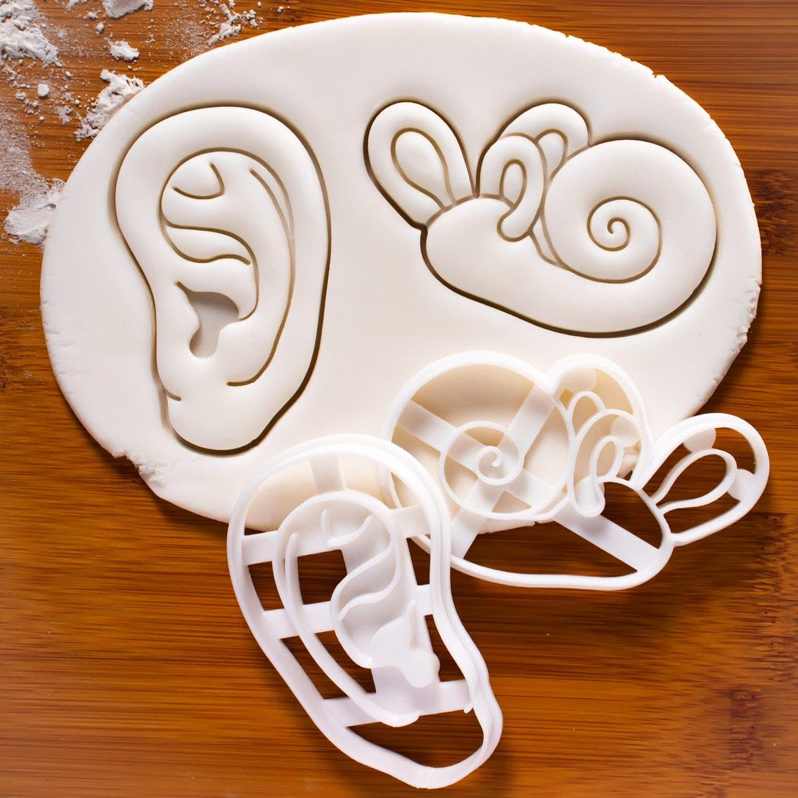 Anatomical Human Inner Ear Cookie Cutter Featuring Cochlea Outer Ear Auricle Pinnae Biscuit Cutter Ideal Medical Students, Anatomy Enthusiasts, Educational Baking Unique One (ONLY INNER EAR) - Image 4