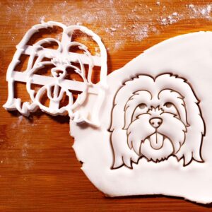 Tibetan tarrier Dog Face and Body